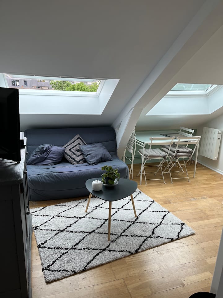 Petit Appartement En Plein Cœur De Reims - Reims