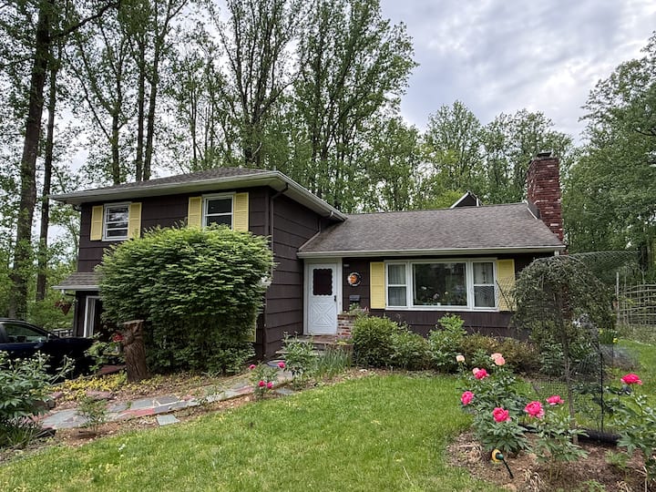Family Headquarters For The World Cup! - Chester Township, NJ