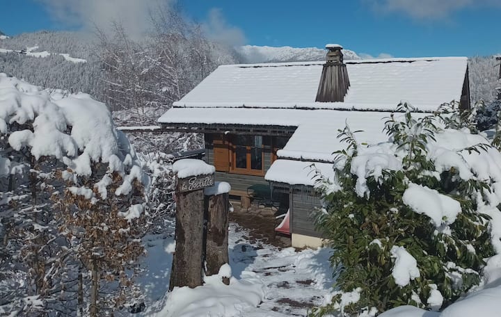 Chalet Lumineux, Vue Montagne & Accès Pistes - La Clusaz
