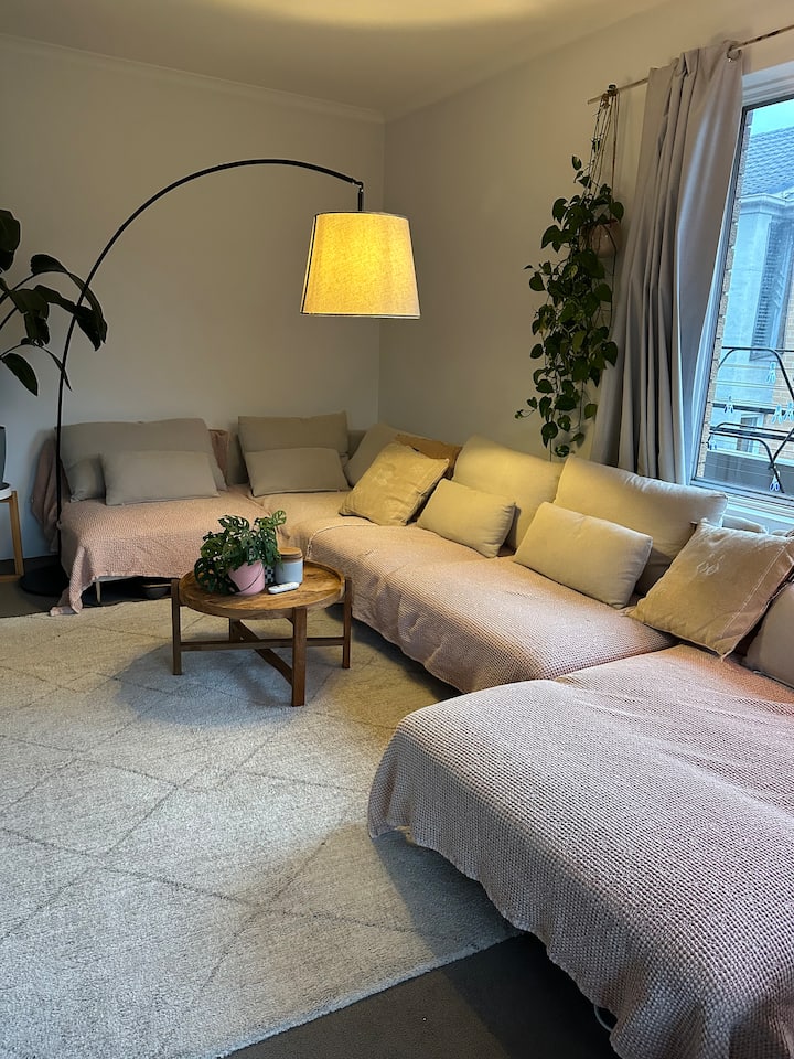 Bright And Cozy Apartment, Rose Bay - 본다이비치