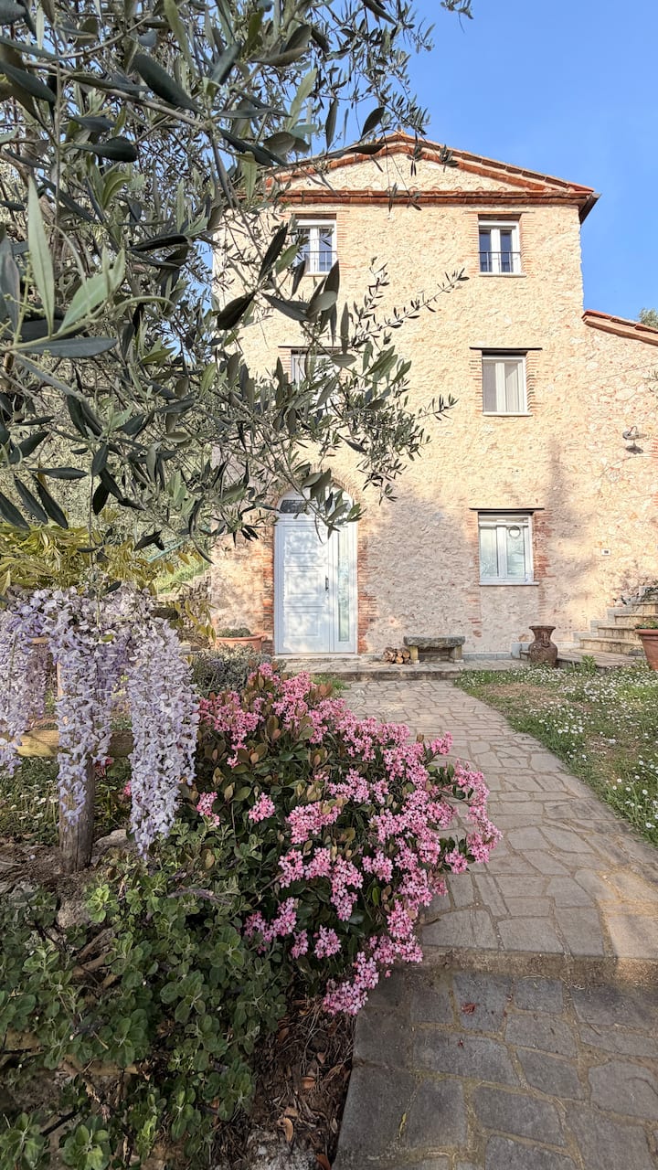 Casa Giulio - Camaiore