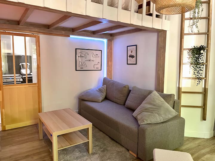 Appartement Avec Mezzanine - Quartier éTudiant - Lila