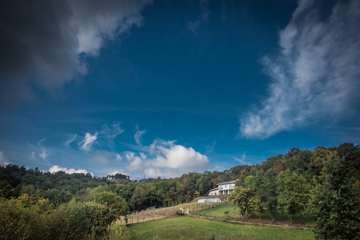 Agriturismo "La Collina"-15km Dal Centro Di Torino - Settimo Torinese