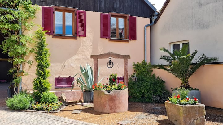 L'écrin D'alsace - Colmar