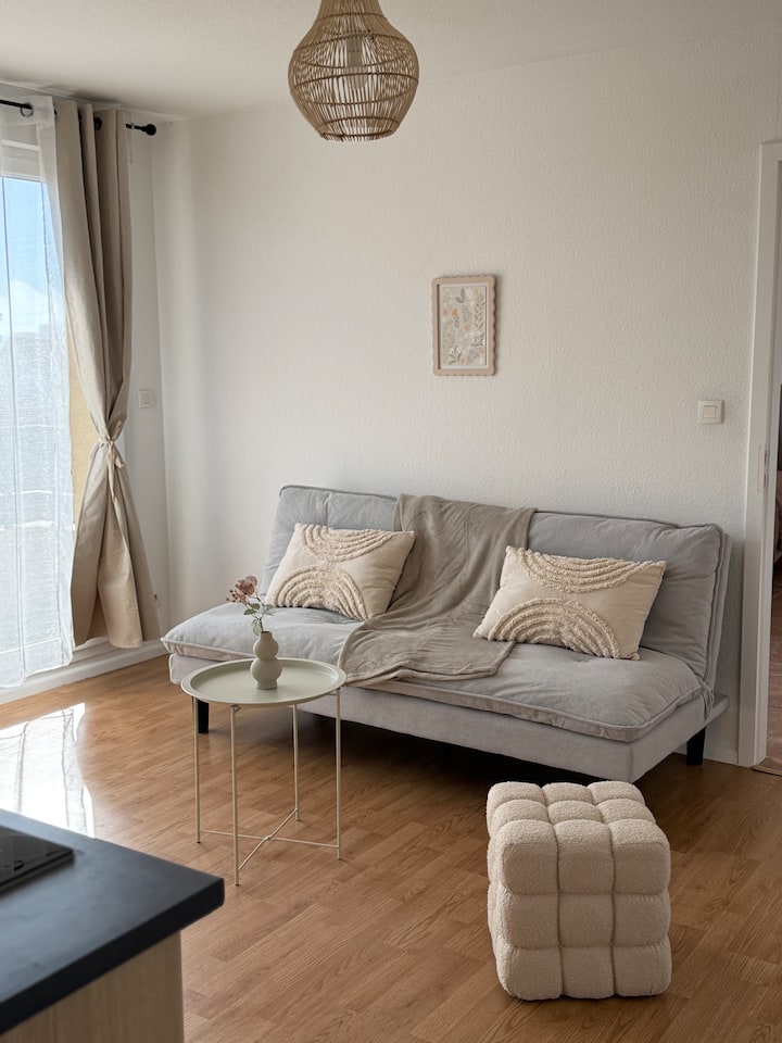 Studio Swiss View 2 Mins De Bâle-near Airport - Basilea