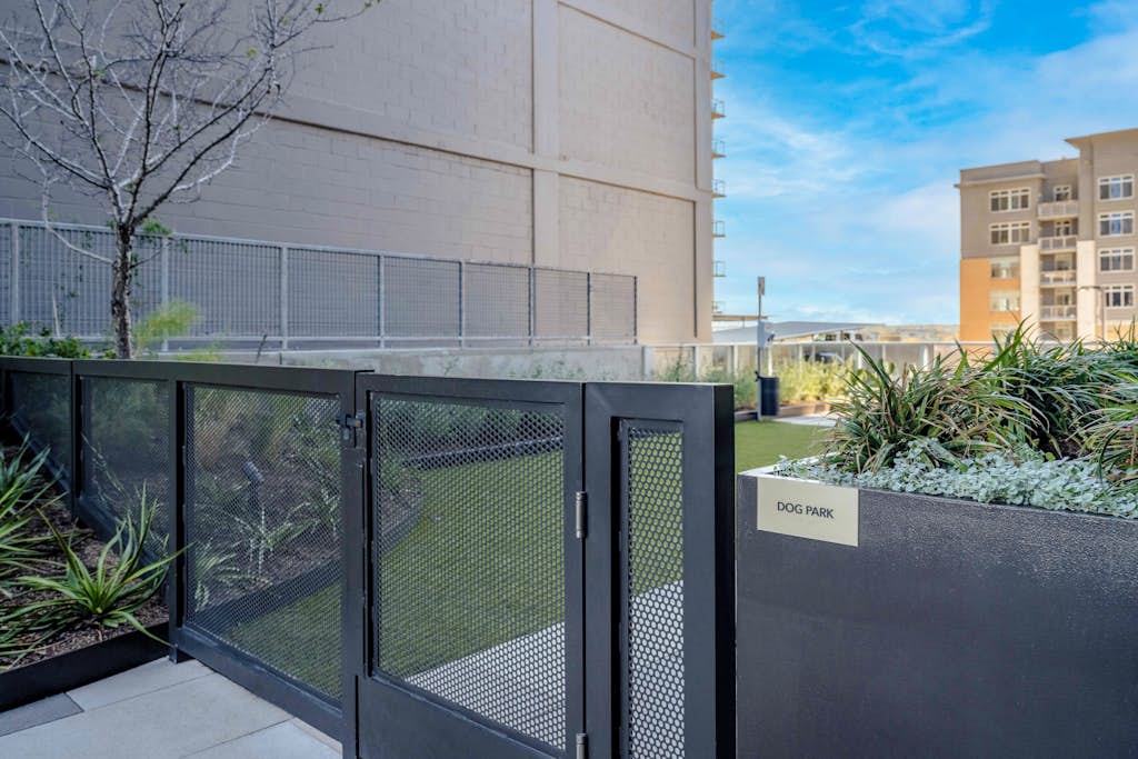 Modern Lakeview Natiivo Austin 31st Floor-King Bed