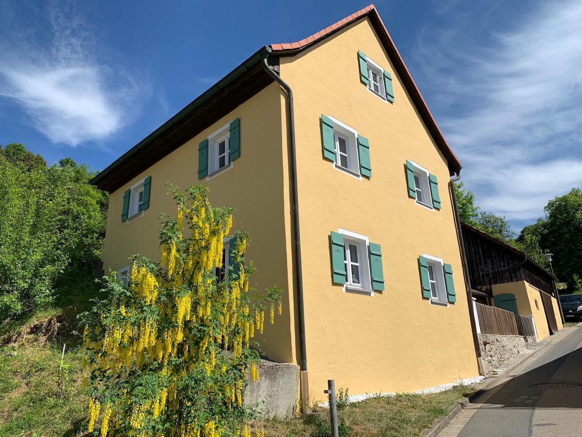 Stilvoll sanierte Wohnung mit historischem Charme - Kinding