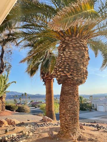 Guest favorite listing in Lake Havasu City