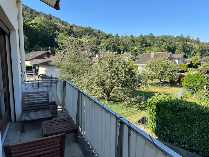 Appartement Fonctionnel Et Accueillant - Thonon-les-Bains