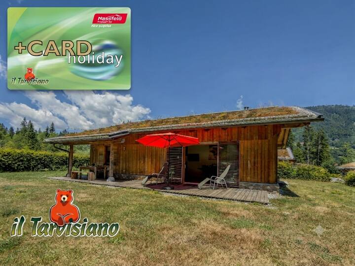 Chalet Pour Des Vacances Bien-être Avec Chien - Nassfeld