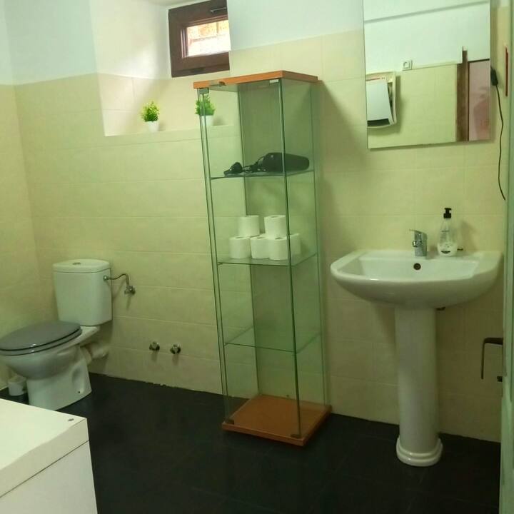 Baño completo con ducha, lavabo e inodoro: sencillo y funcional.