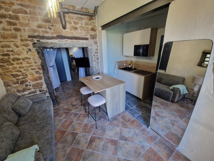 Appartement Atypique 3 Pers - Limonest