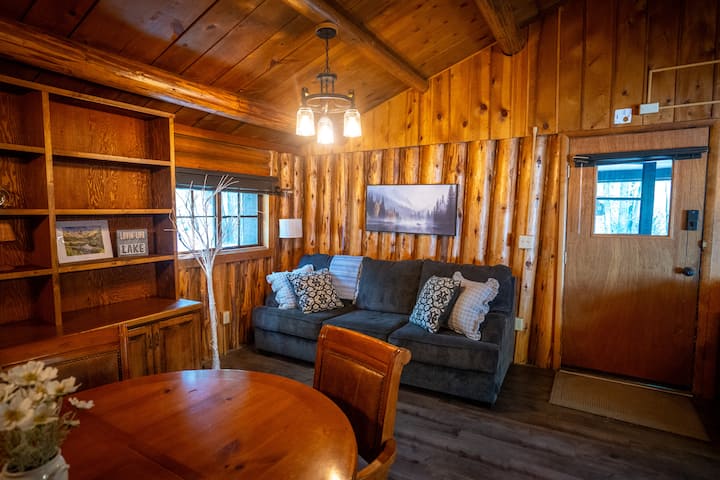 Rare Riverfront Cabin | Gunnison River + Downtown - Lake City, CO