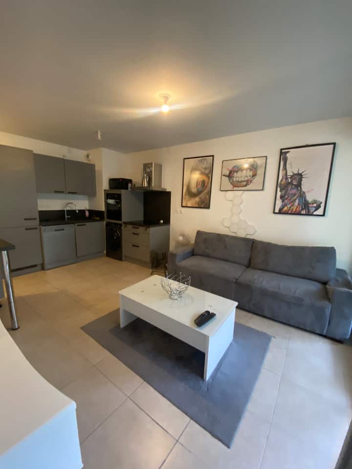 Agréable T2 à Montpellier - Montpellier
