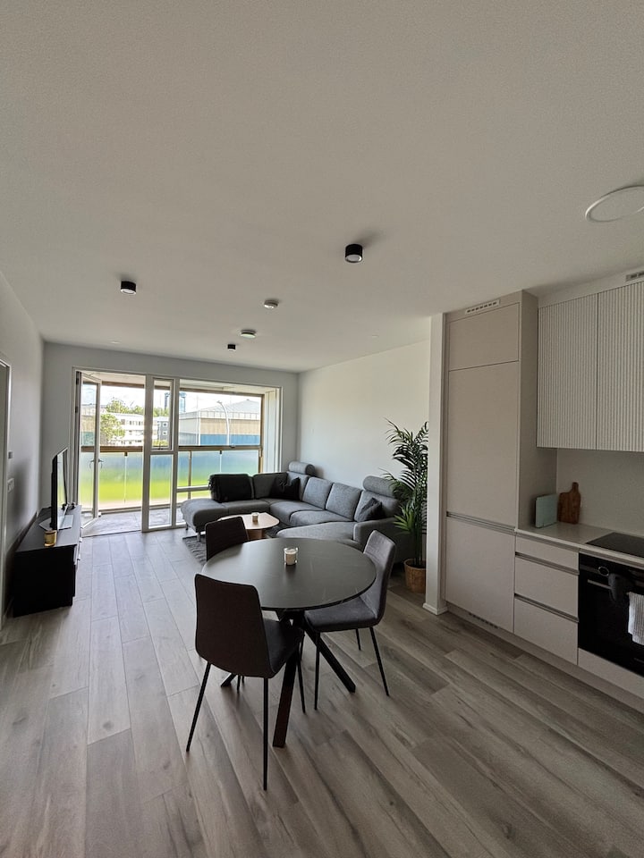 Great Apartment, Top Floor, Privacy, City Center - Reykjavik