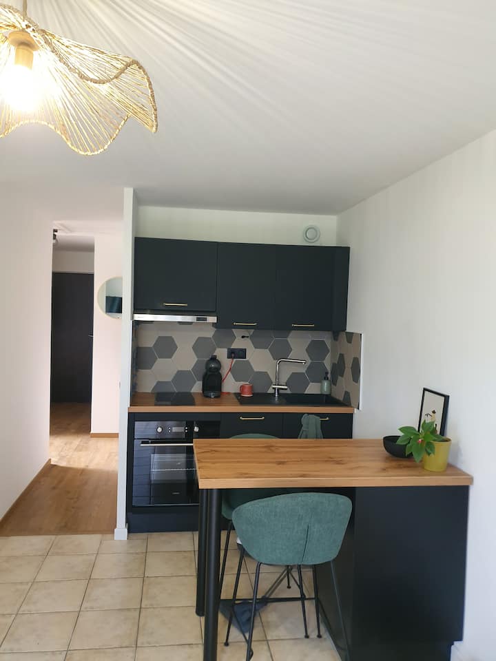 Appartement Entre Lac Et Montagne - Savines-le-Lac