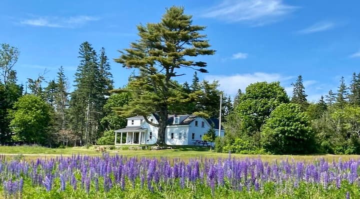 The Greene Farmhouse - Deer Isle, ME