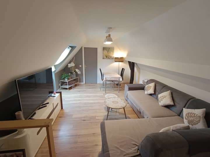 Joli Duplex Dans Une Maison Alsacienne - Benfeld