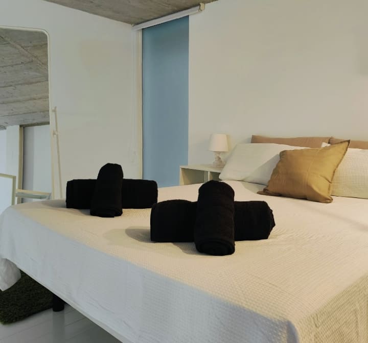 Loft Estilo Industrial (Dos Plantas + 2 Parkings) - Madrid