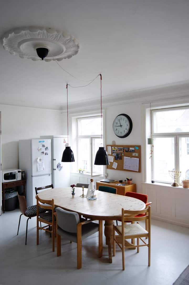 Herskabslejlighed Over For Det Kongelige Teater - Copenhague