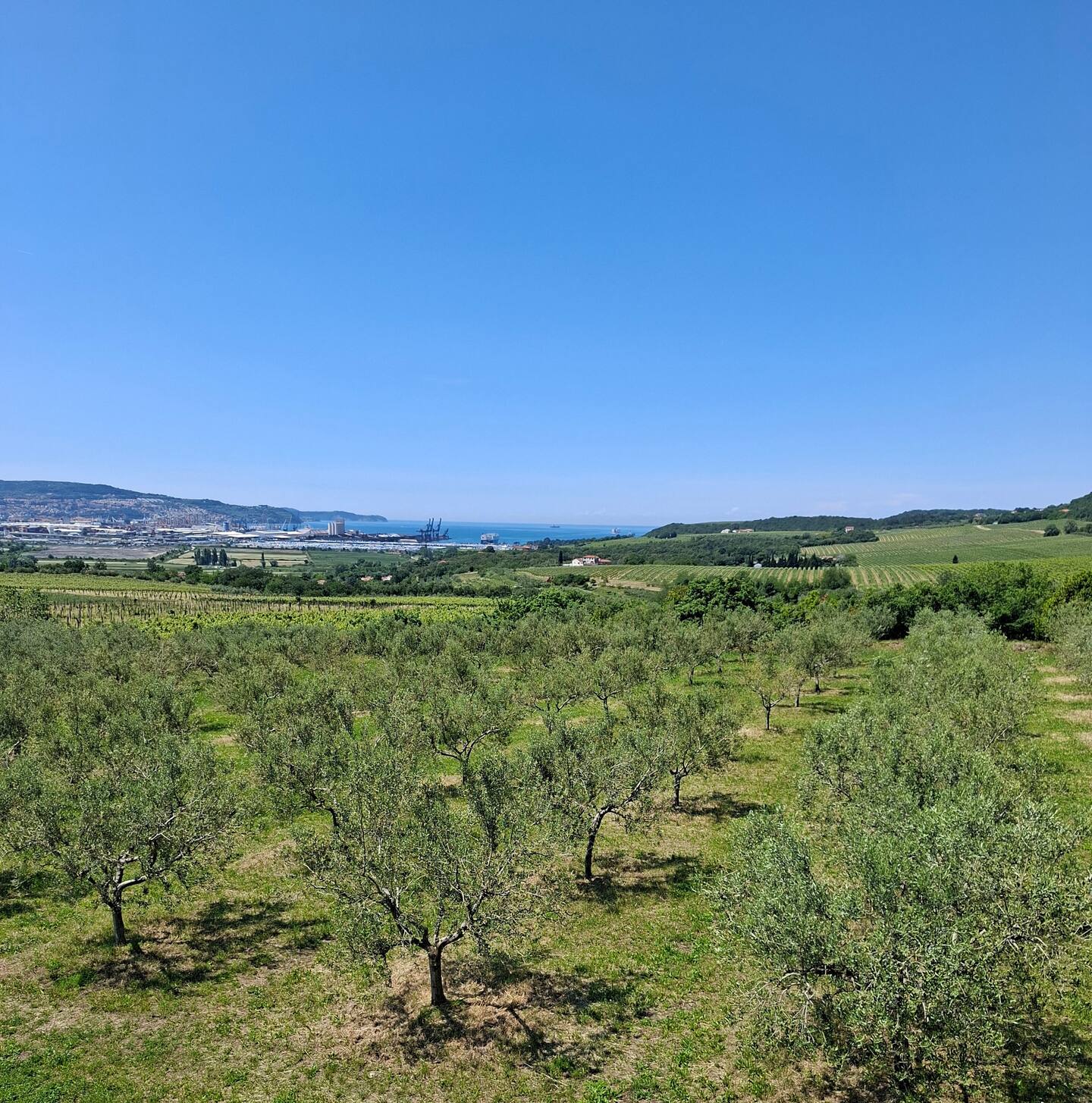 Tramontina — photo 2