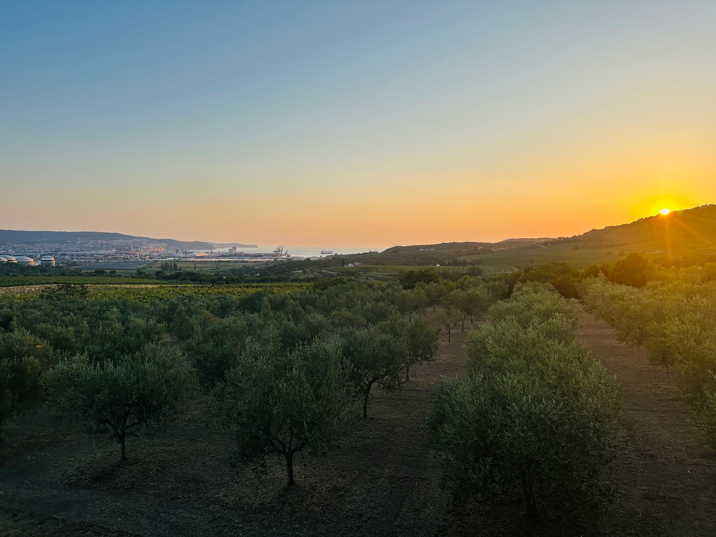 Tramontina — photo 21