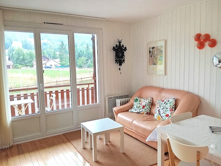 Studio Vue Montagne - Balcon Sud - Parking Couvert - Ancelle