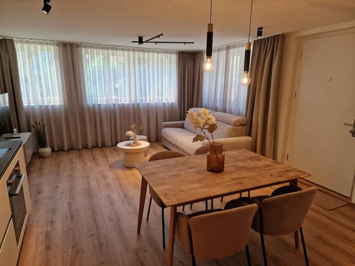 B-post Appartement (Rénové Neuf, Top Emplacement) - Ringgenberg