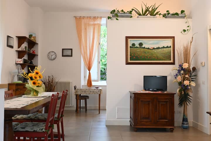 Appartamento - Montevarchi
La Magnolia - Montevarchi