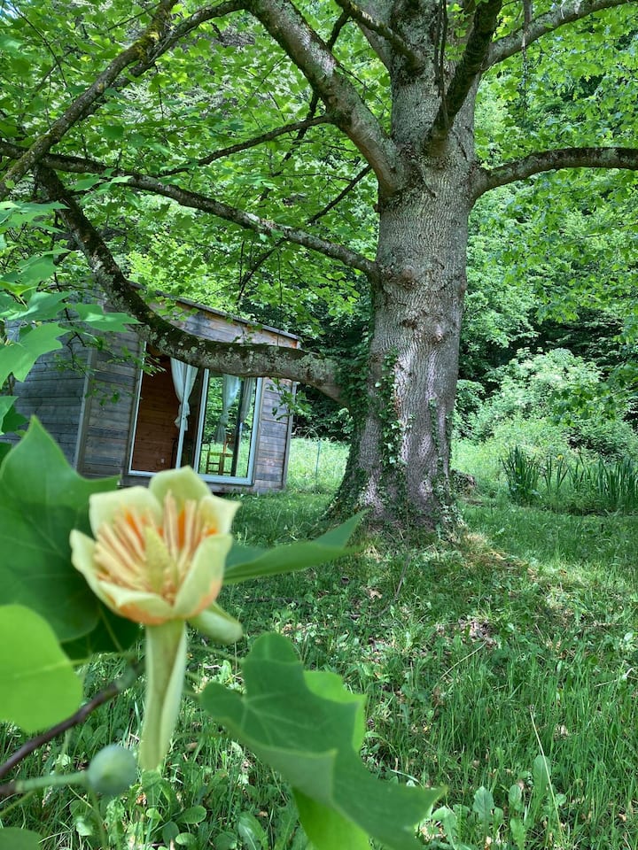 Grande Maison Entre Bagnères Et Les Montagnes - 庇裡牛斯山