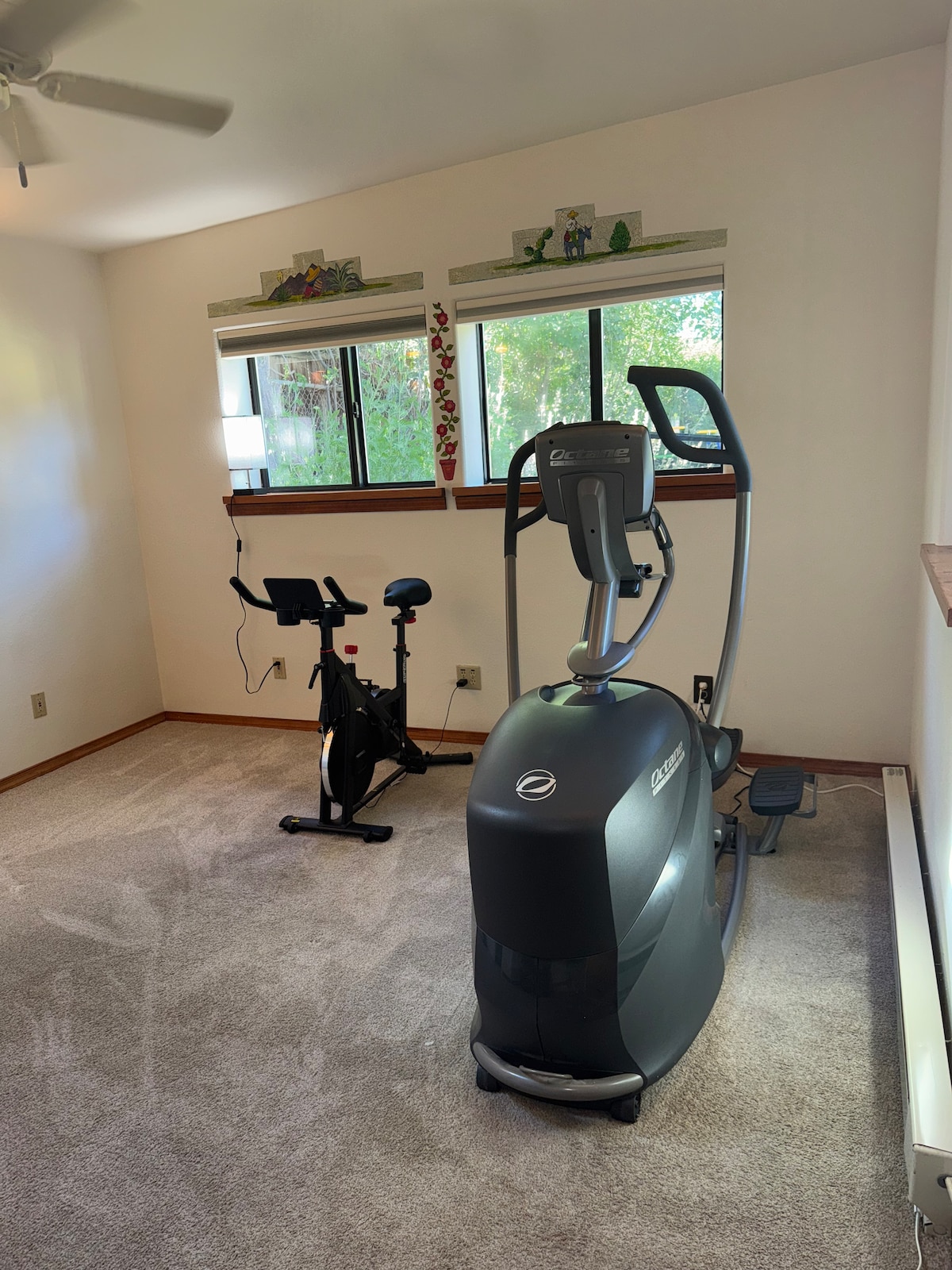 Home gym at the Los Alamos Airbnb
