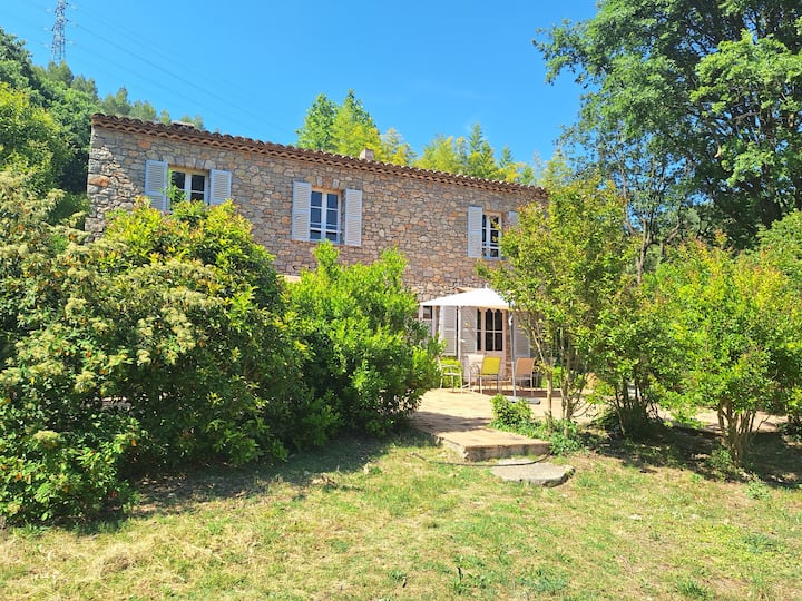 Mas Provençal Au Calme Avec Grande Piscine - Taradeau