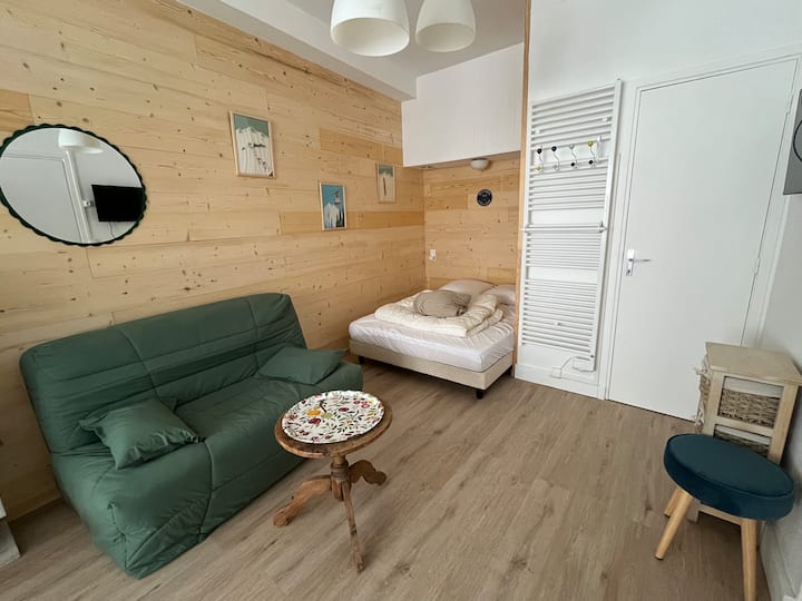 Appartement 4/6 Personnes Au Calme, Centre-ville - Puy de Sancy
