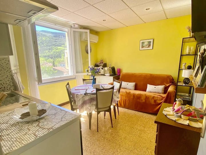 Appartement Accueillant Avec Parking, Animaux Ok - Arles-sur-Tech