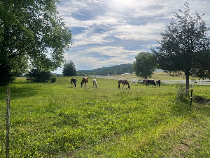 Rv/cmpr Hookup On Horse Farm - Rural Getaway - Knoxville, TN