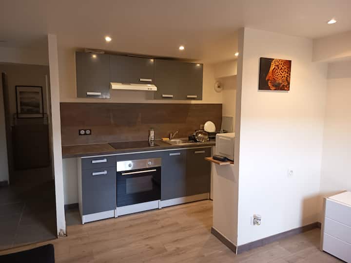 Appartement Atypique 34m² Cœur De Thonon-les-bains - Sciez