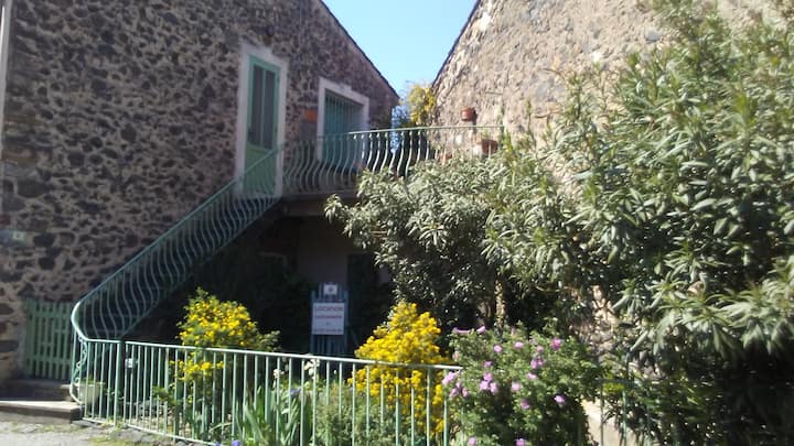 La Coustouline - Clermont-l'Hérault