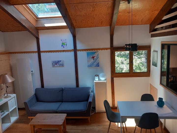 Chalet Au Vert Avec Deux Terrasses Et Jardin - Lans-en-Vercors