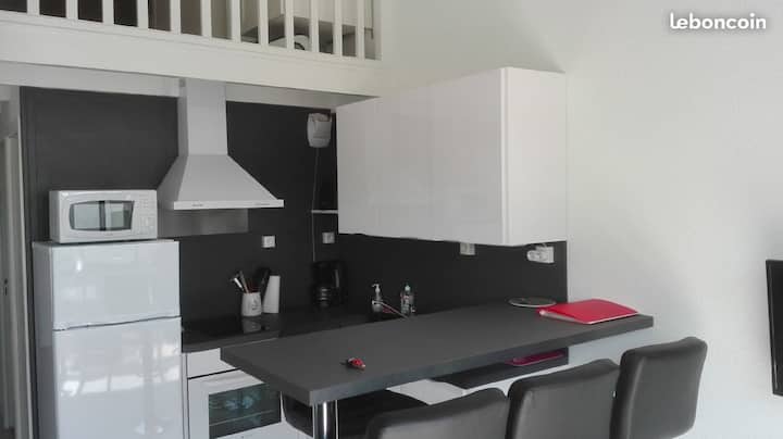 Appartement 700 Mètres Plage Et Zoo - Les Mathes