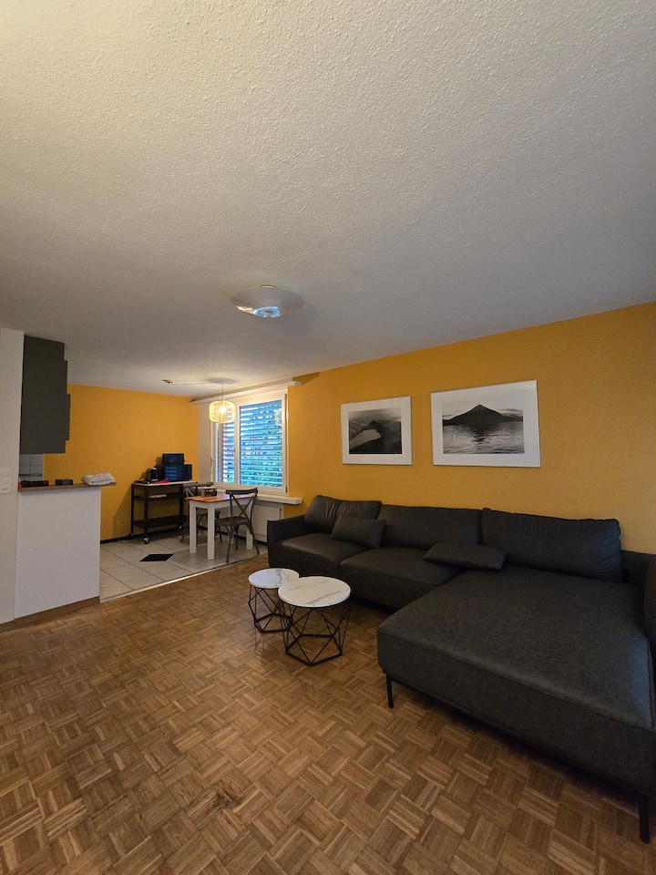 Niesenblick Suite - Thun