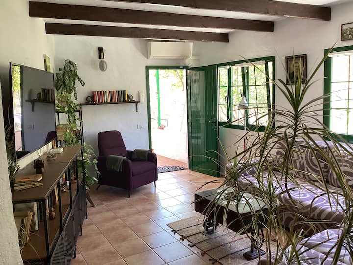 Lovingly Restored Canarian Country House - Gran Canaria