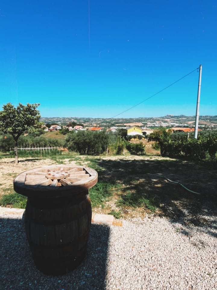 Colle Luna - Tortoreto