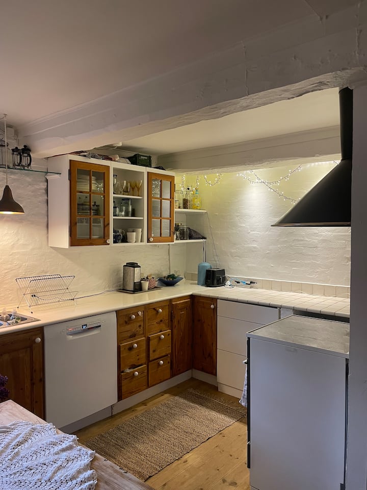Cozy Historic Townhouse In The Heart Of Kolding - Kolding