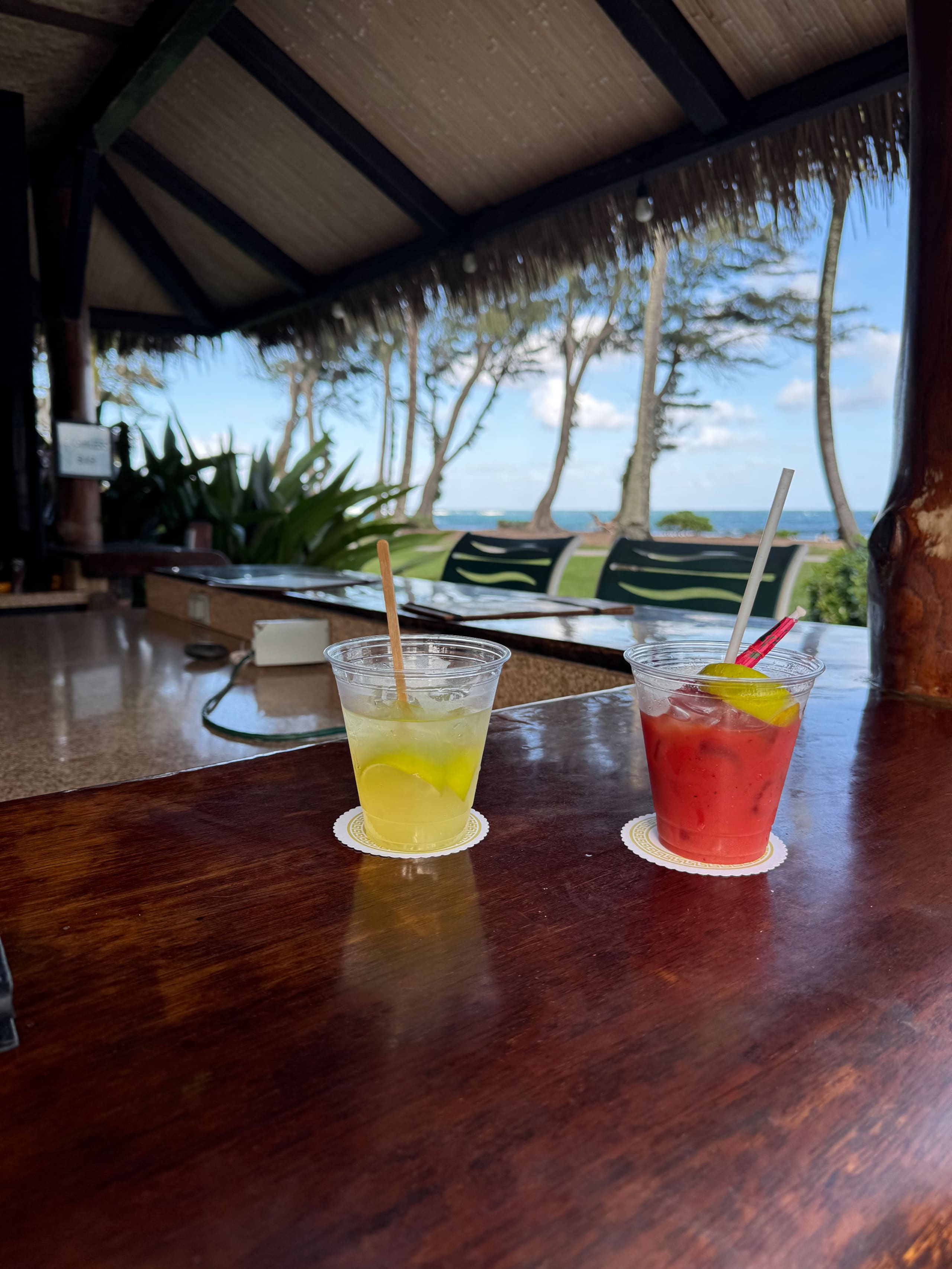 Tropical Islander Retreat - Photo 18