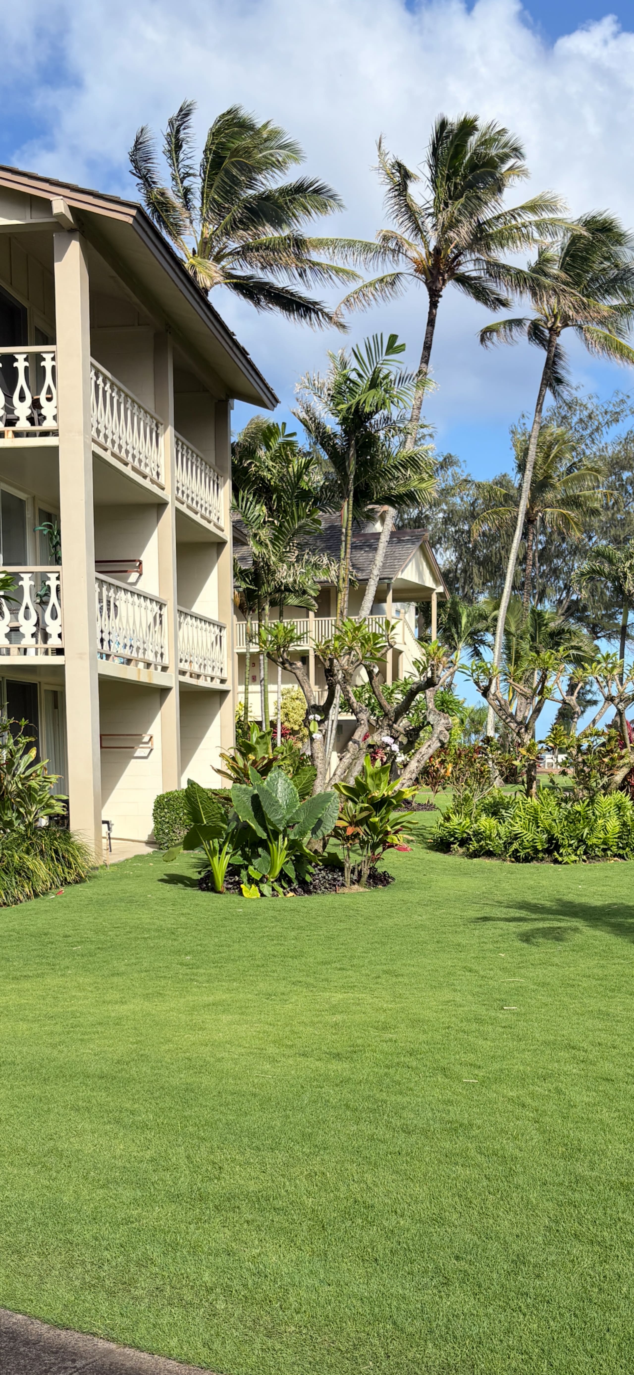 Tropical Islander Retreat - Photo 10