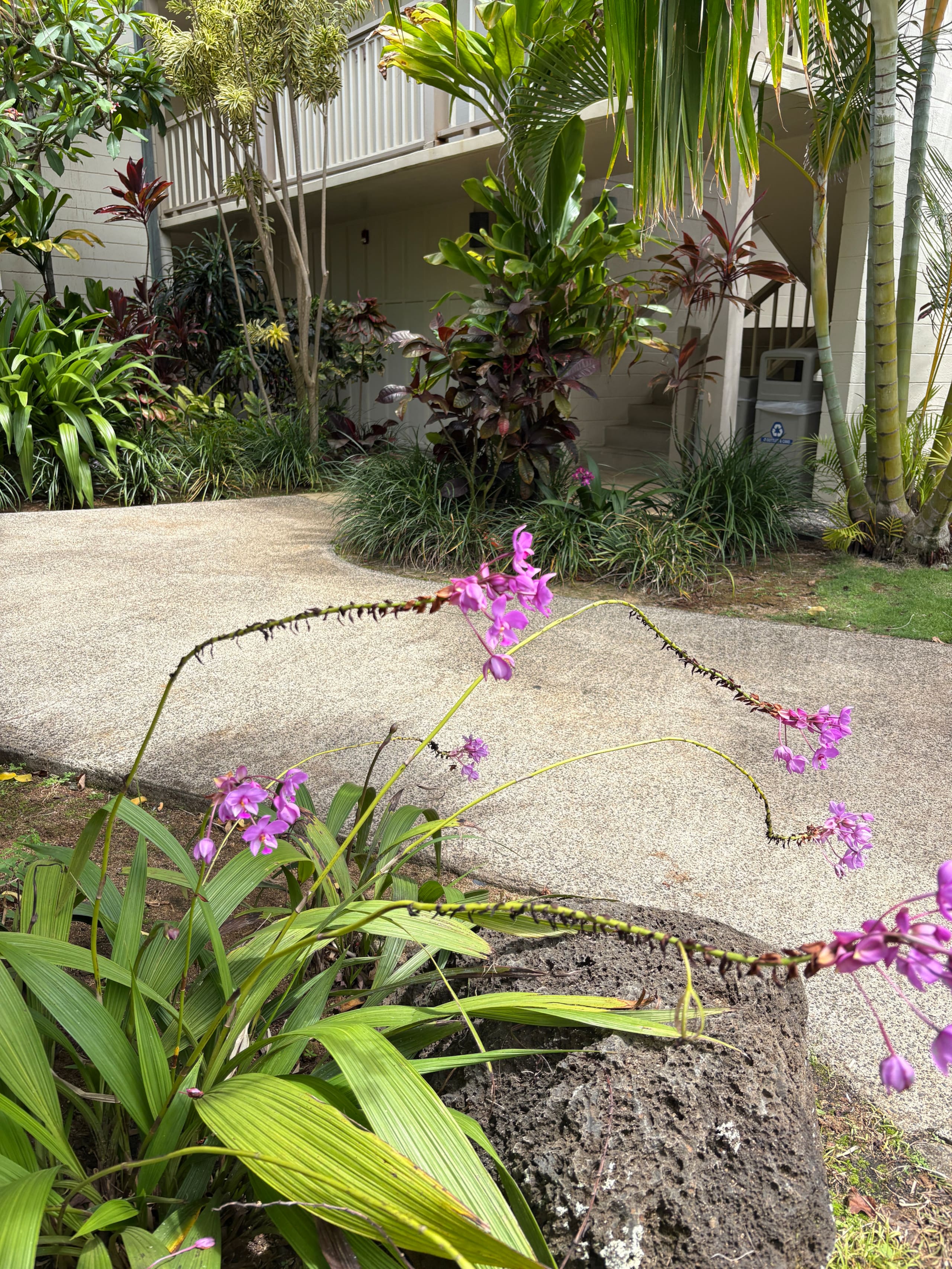 Tropical Islander Retreat - Photo 21