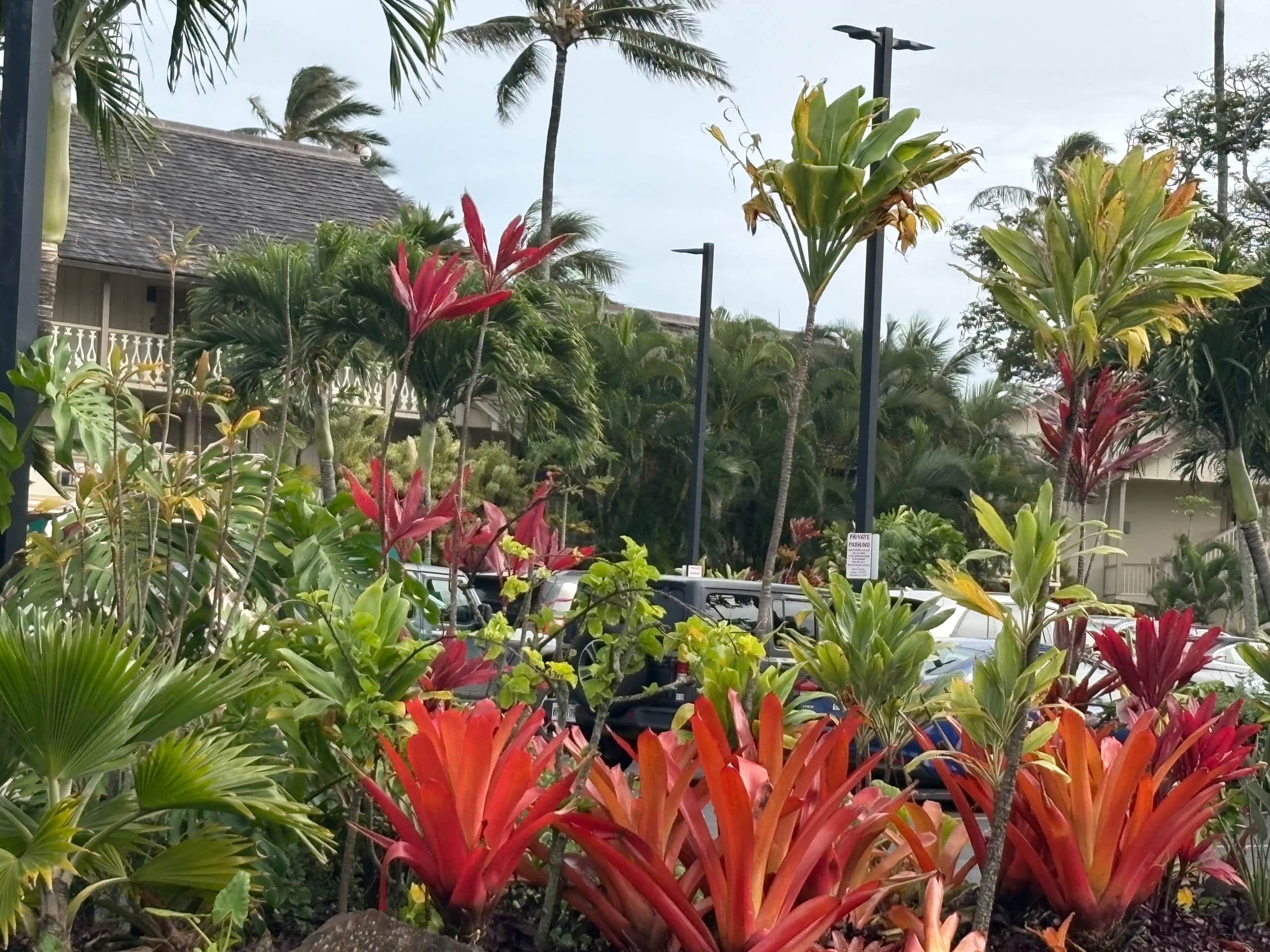 Tropical Islander Retreat - Photo 24