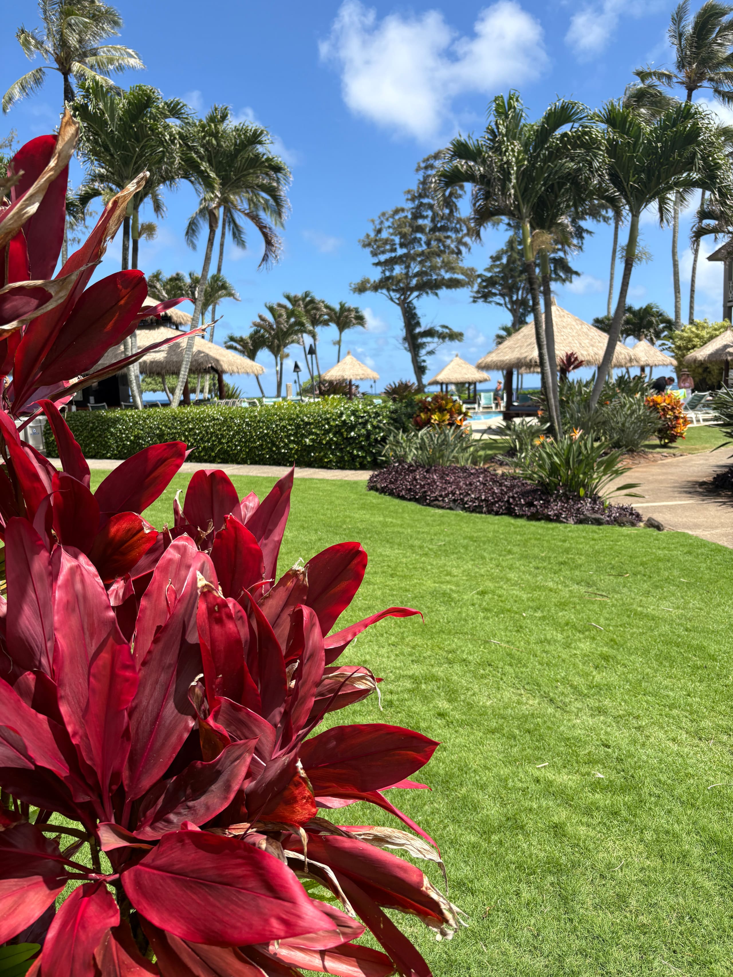 Tropical Islander Retreat - Photo 22