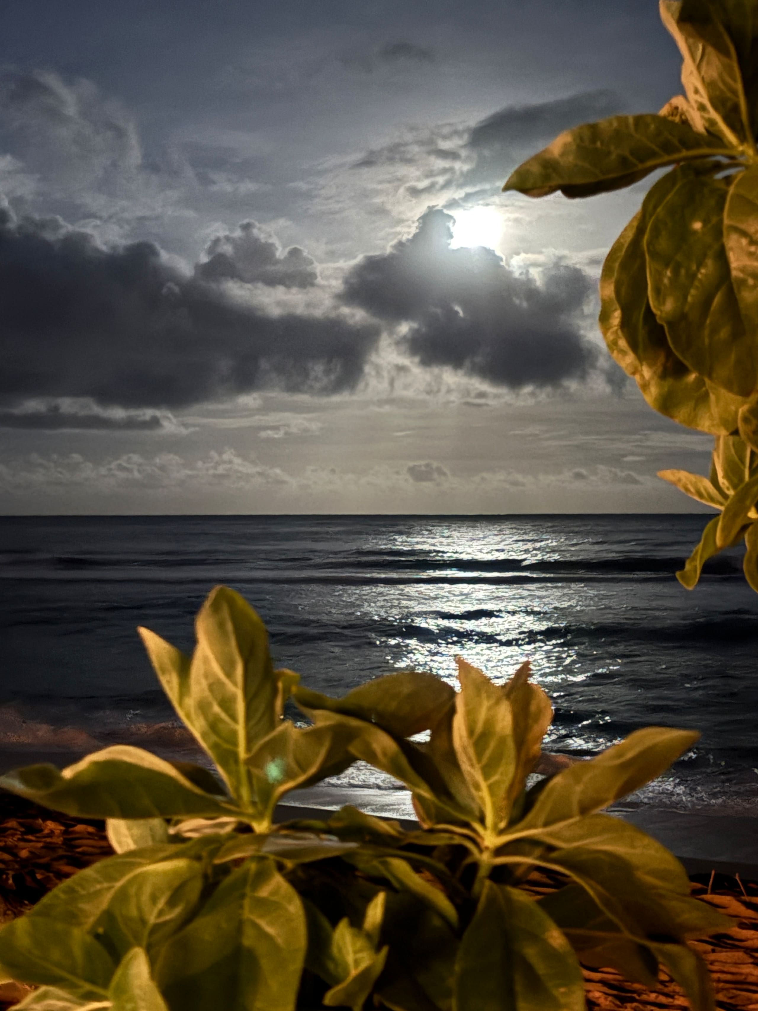 Tropical Islander Retreat - Photo 20