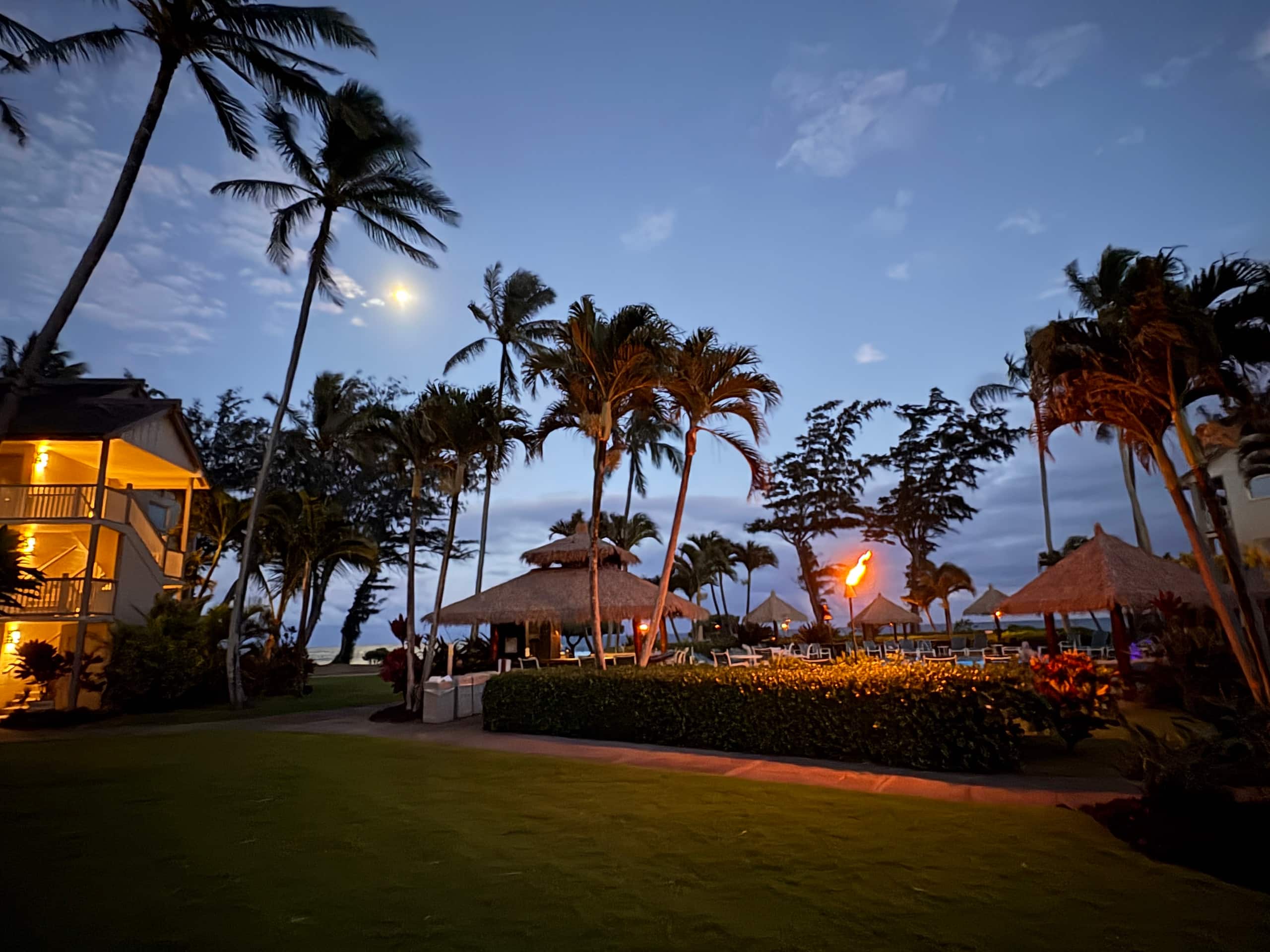 Tropical Islander Retreat - Photo 17